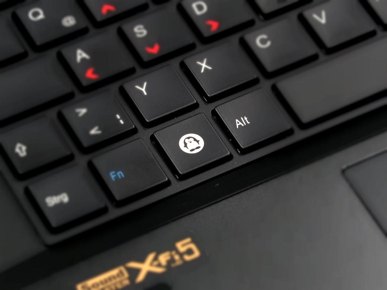 [30/03/2016] Tuxedo XC1506: Spielen mit dem Pinguin