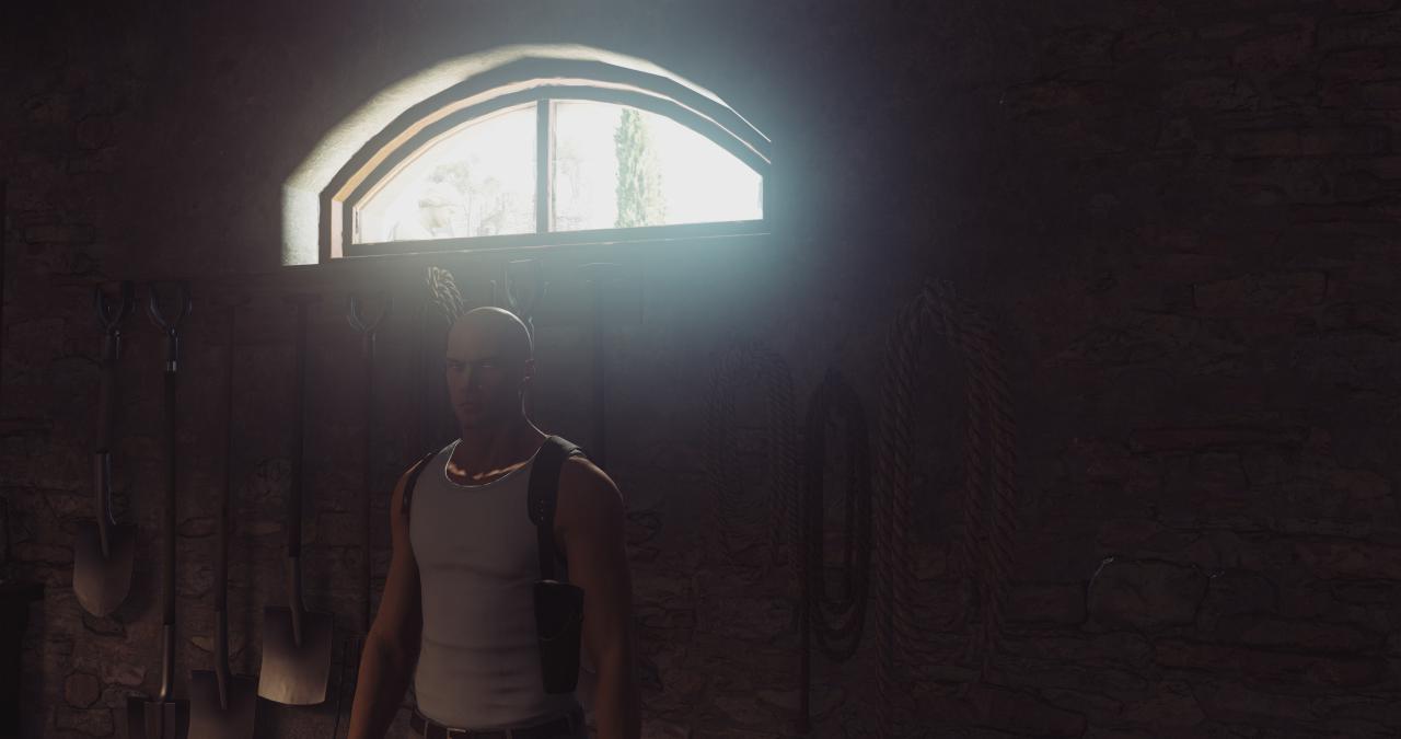 [29/04/2016] Hitman Episode 2 (Sapienza) im PCGH-Techniktest (19)