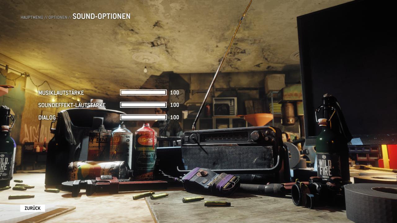 [23/05/2016] Homefront: The Revolution - Soundoptionen