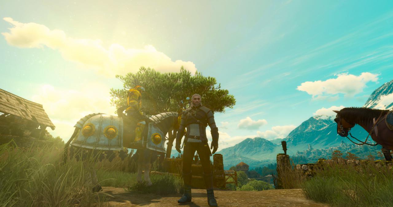 [26/05/2016] The Witcher 3 Blood and Wine (DCI-4K resized auf 1620p) (17)