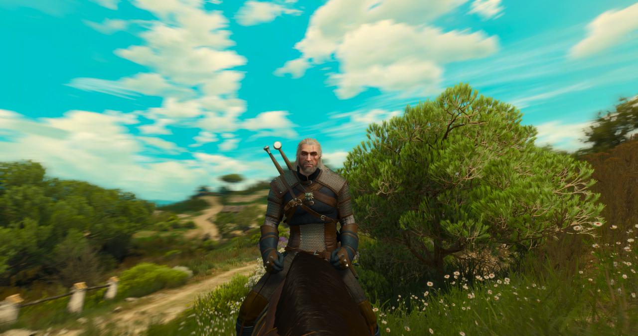 [26/05/2016] The Witcher 3 Blood and Wine (DCI-4K resized auf 1620p) (19)