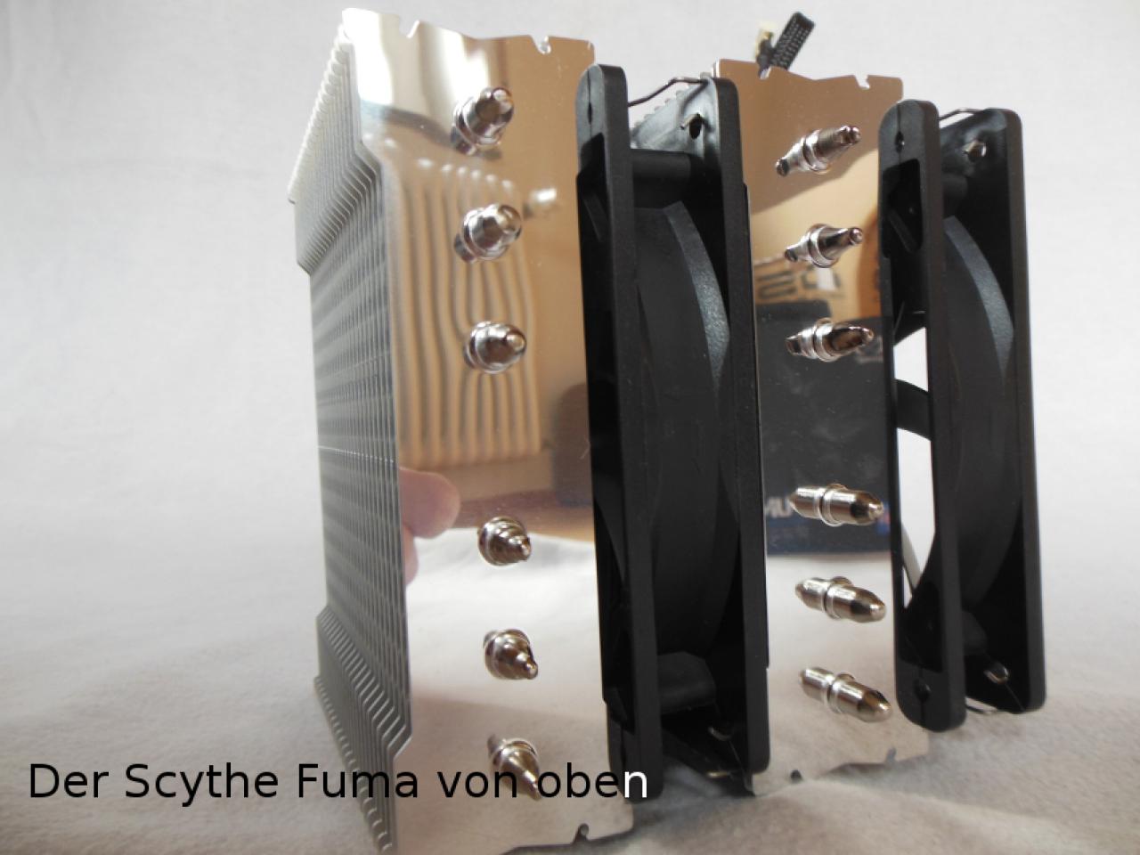 [06/06/2016] Scythe Fuma (1)