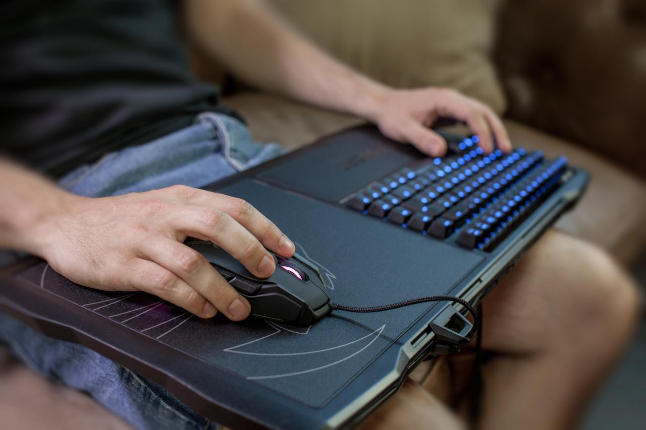 [16/06/2016] Roccat Sova MK 10 