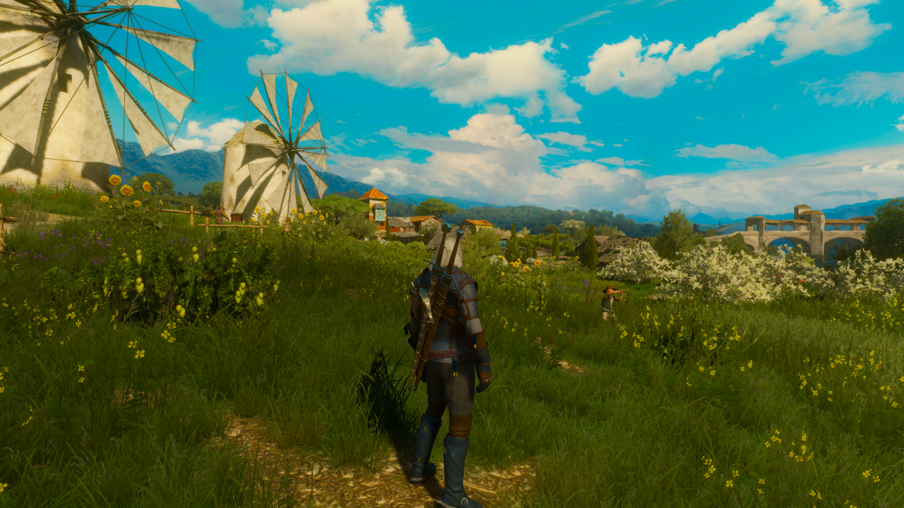 The Witcher 3 mit Ultra-Setting (2)
