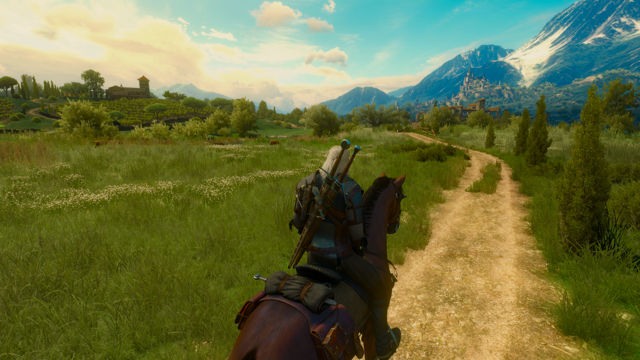 The Witcher 3 mit Ultra-Setting (3)