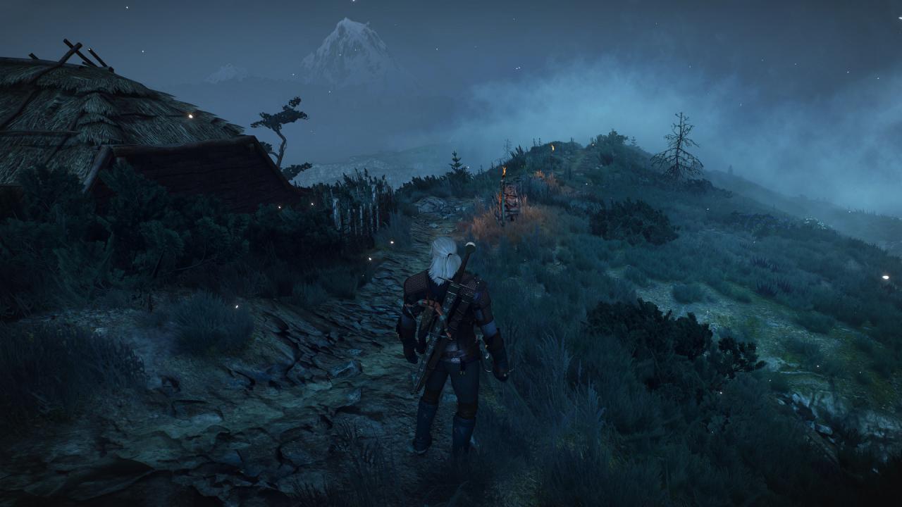 [21/06/2016] The Witcher 3 mit PCGH-Screenshot-Setting (11)
