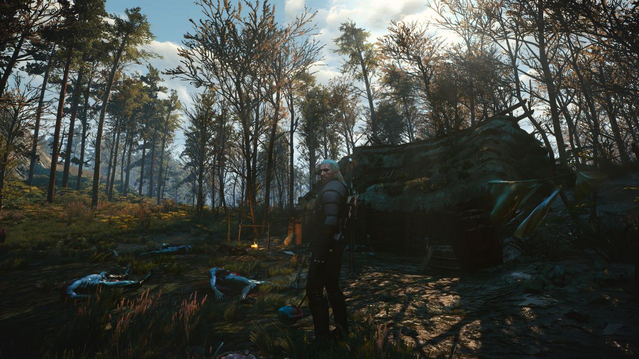 [21/06/2016] The Witcher 3 mit PCGH-Screenshot-Setting (19)