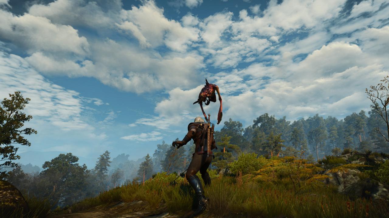 [21/06/2016] The Witcher 3 mit PCGH-Screenshot-Setting (20)