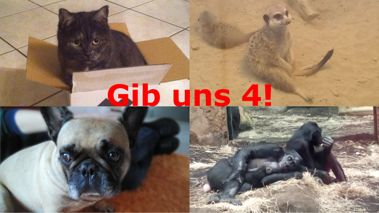 [29/08/2016] Bild 141 von Oliver Schmidt
