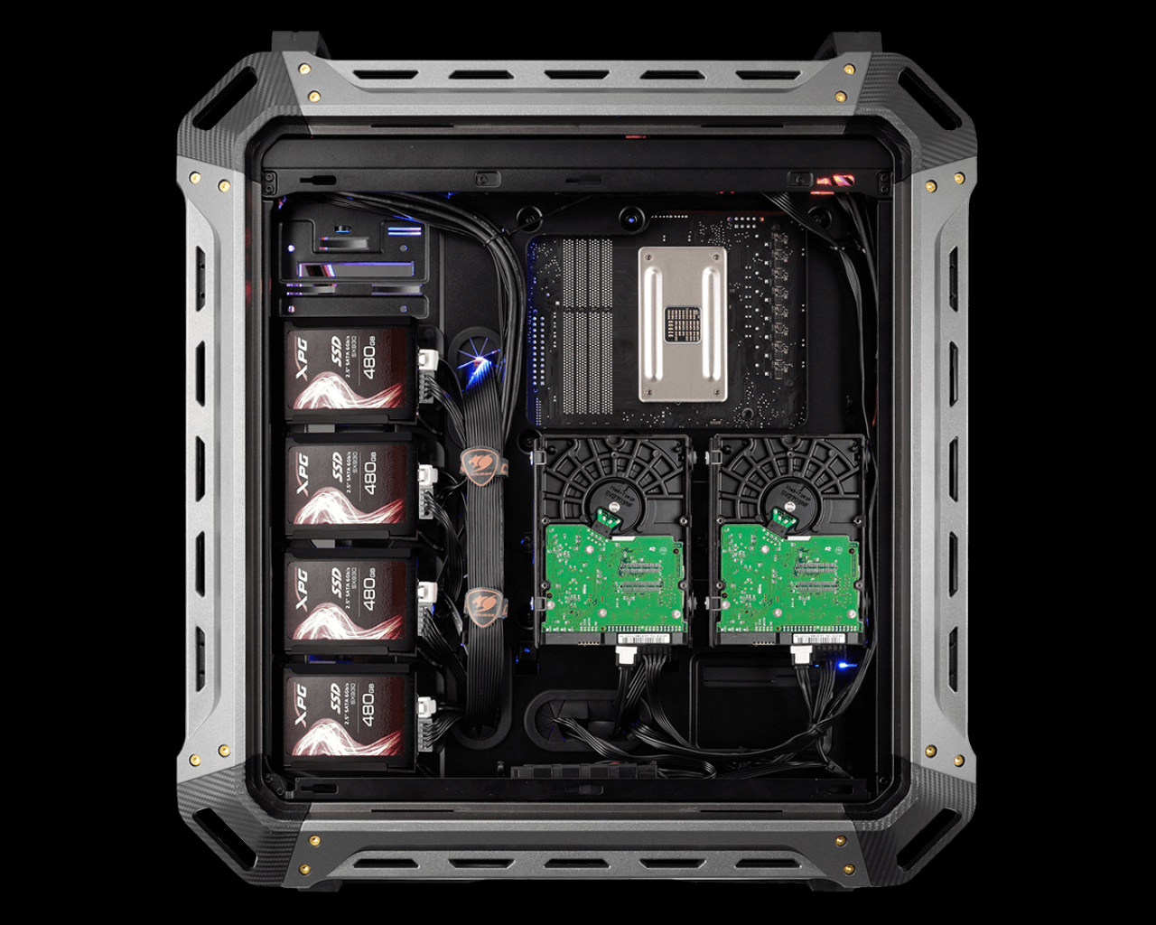 [11/08/2016] Cougar Panzer Max: Der 