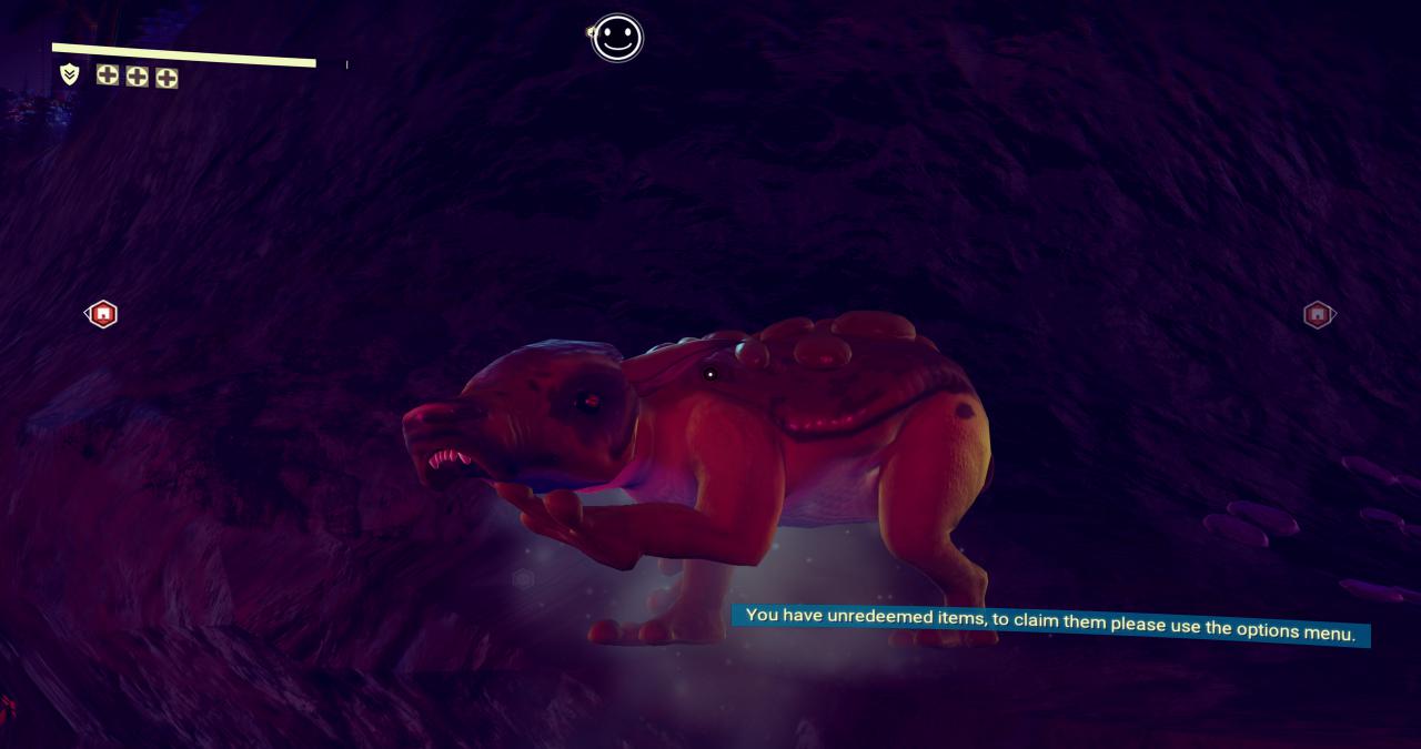 [15/08/2016] No Man's Sky DCI-4K maxed & downsampled (23)