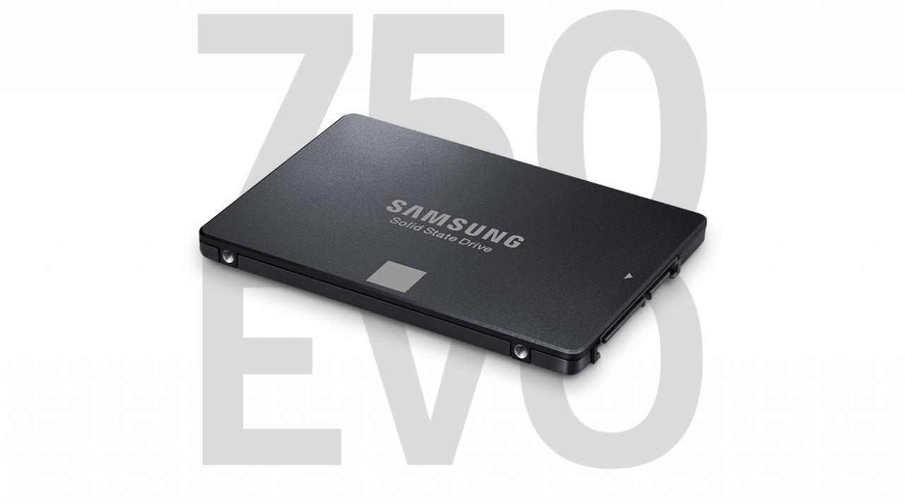 [15/08/2016] Samsung SSD 750 EVO 500 GB