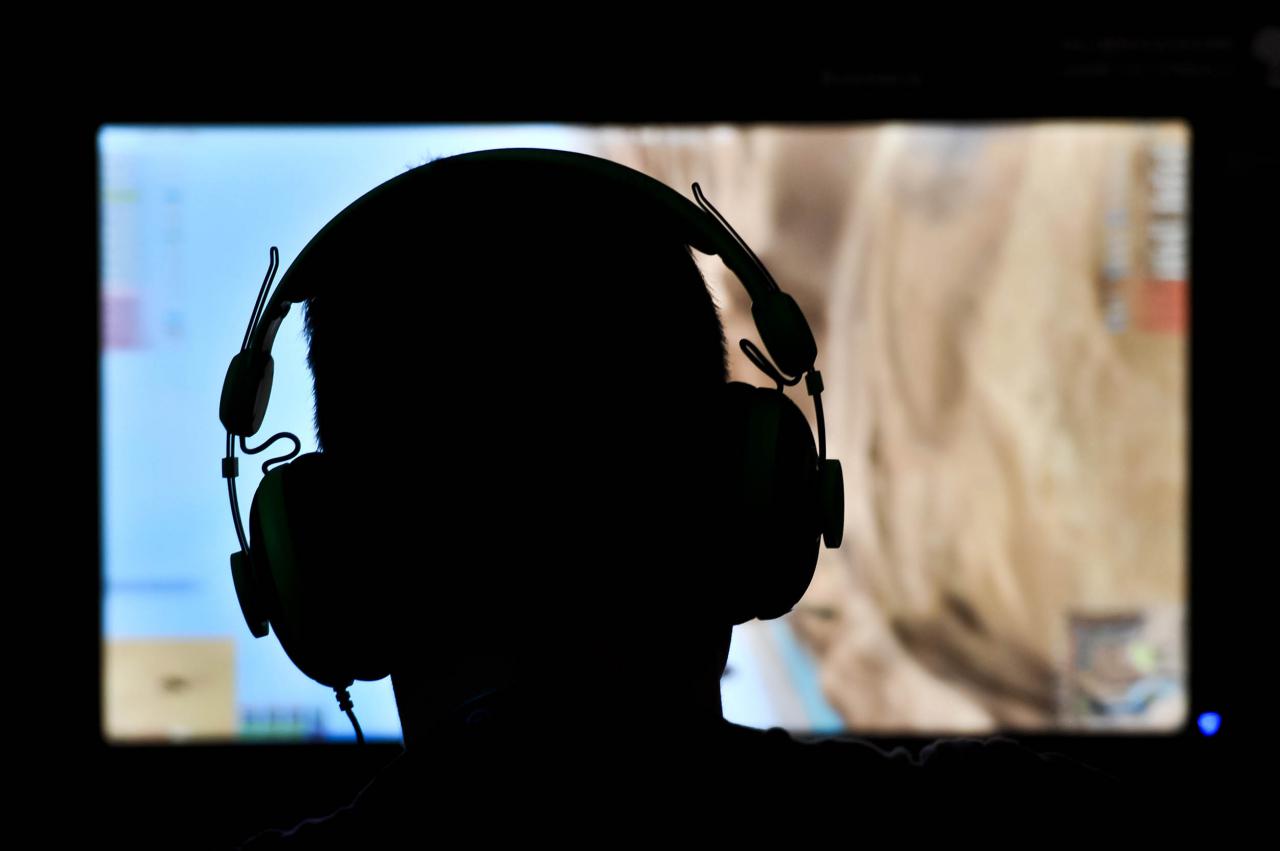 [22/09/2016] Michael Pachter: PC-Spieler sind sowas wie Rassisten