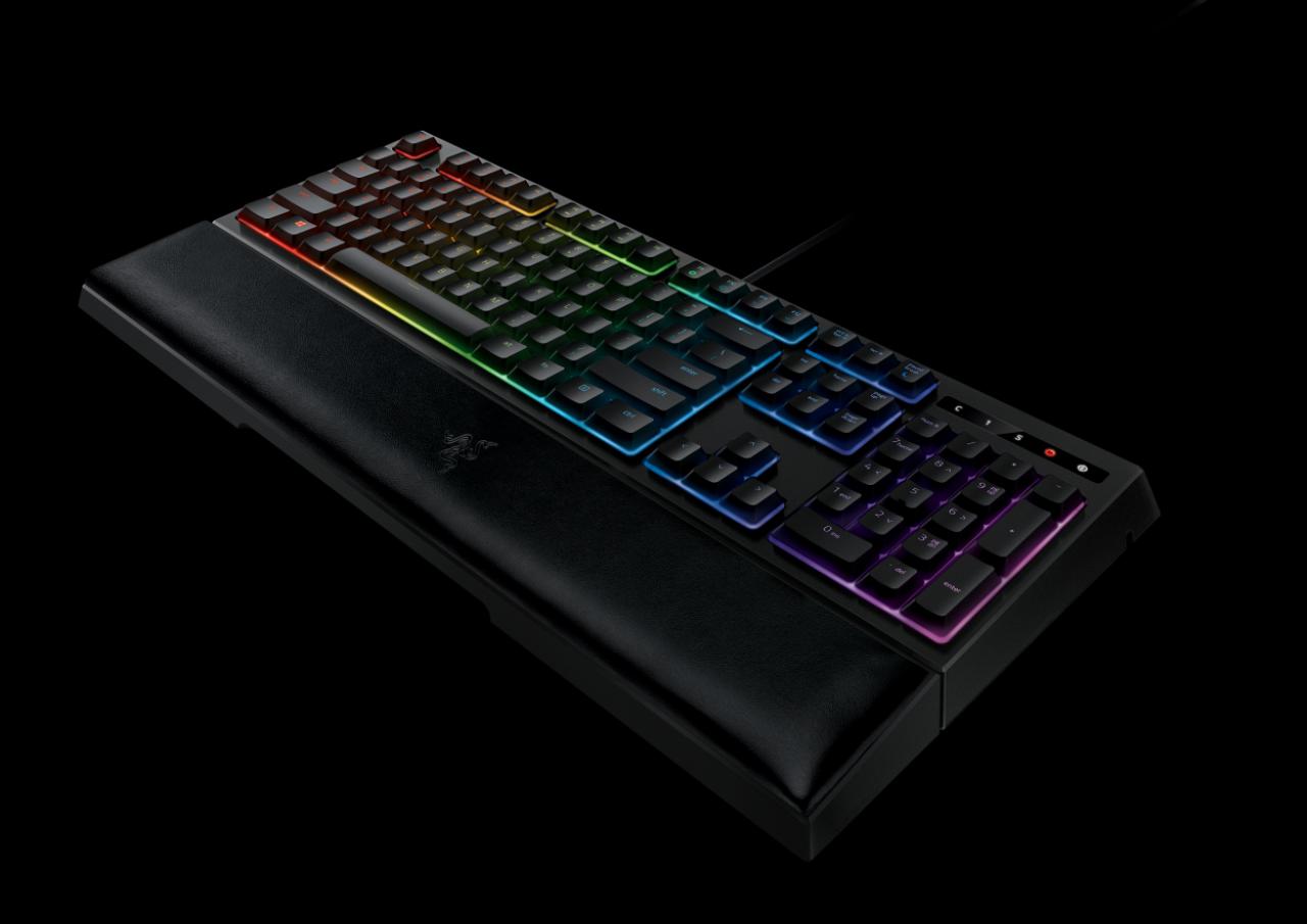 [03/09/2016] Razer Ornata Chroma (3)