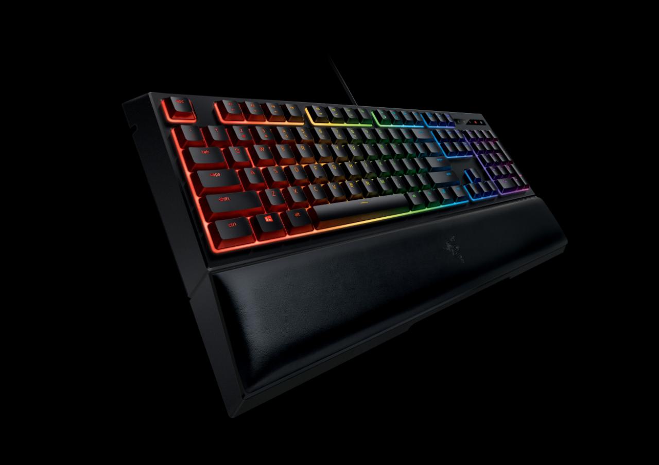 [03/09/2016] Razer Ornata Chroma (5)