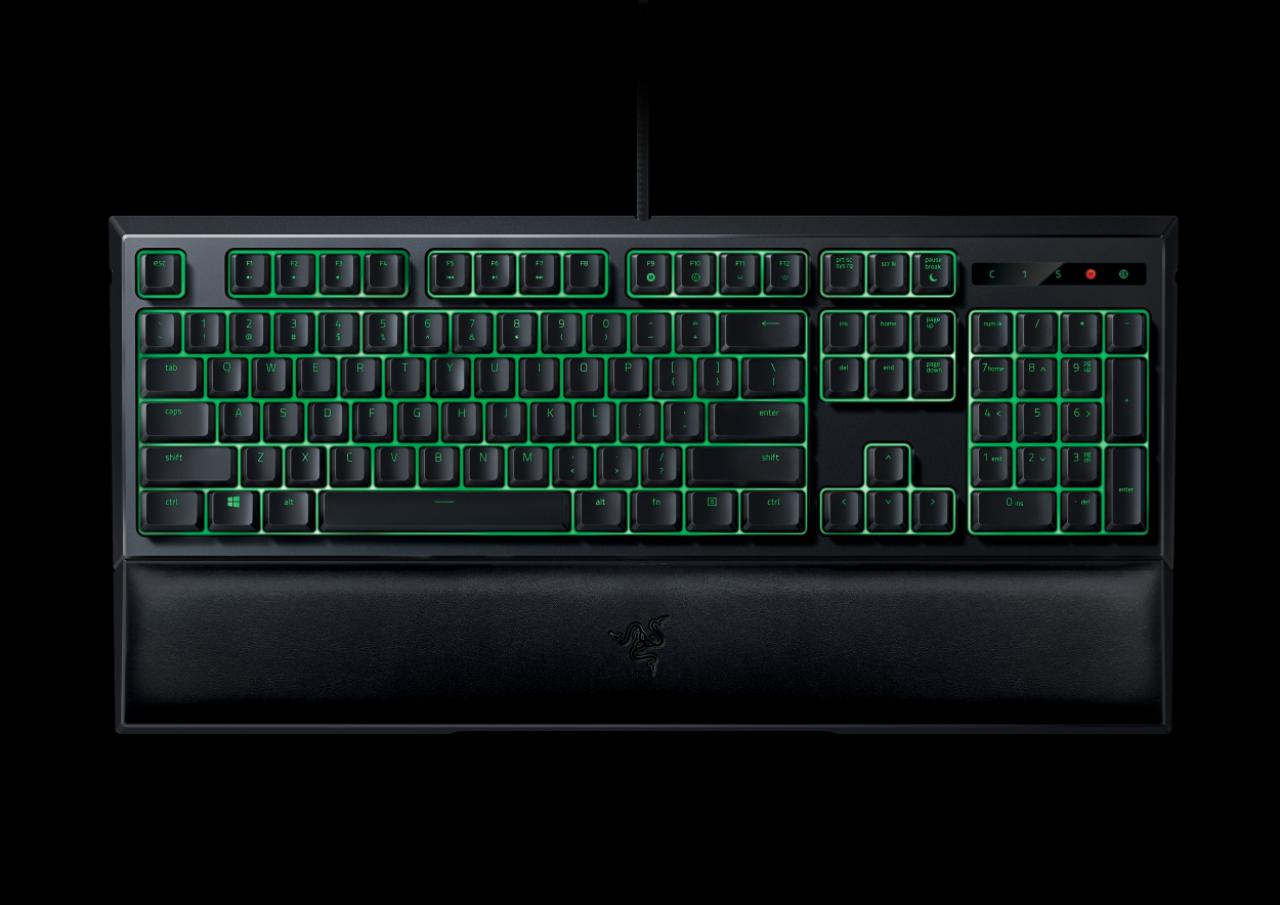 [03/09/2016] Razer Ornata (1)