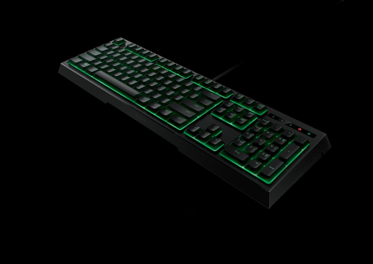 [03/09/2016] Razer Ornata (2)