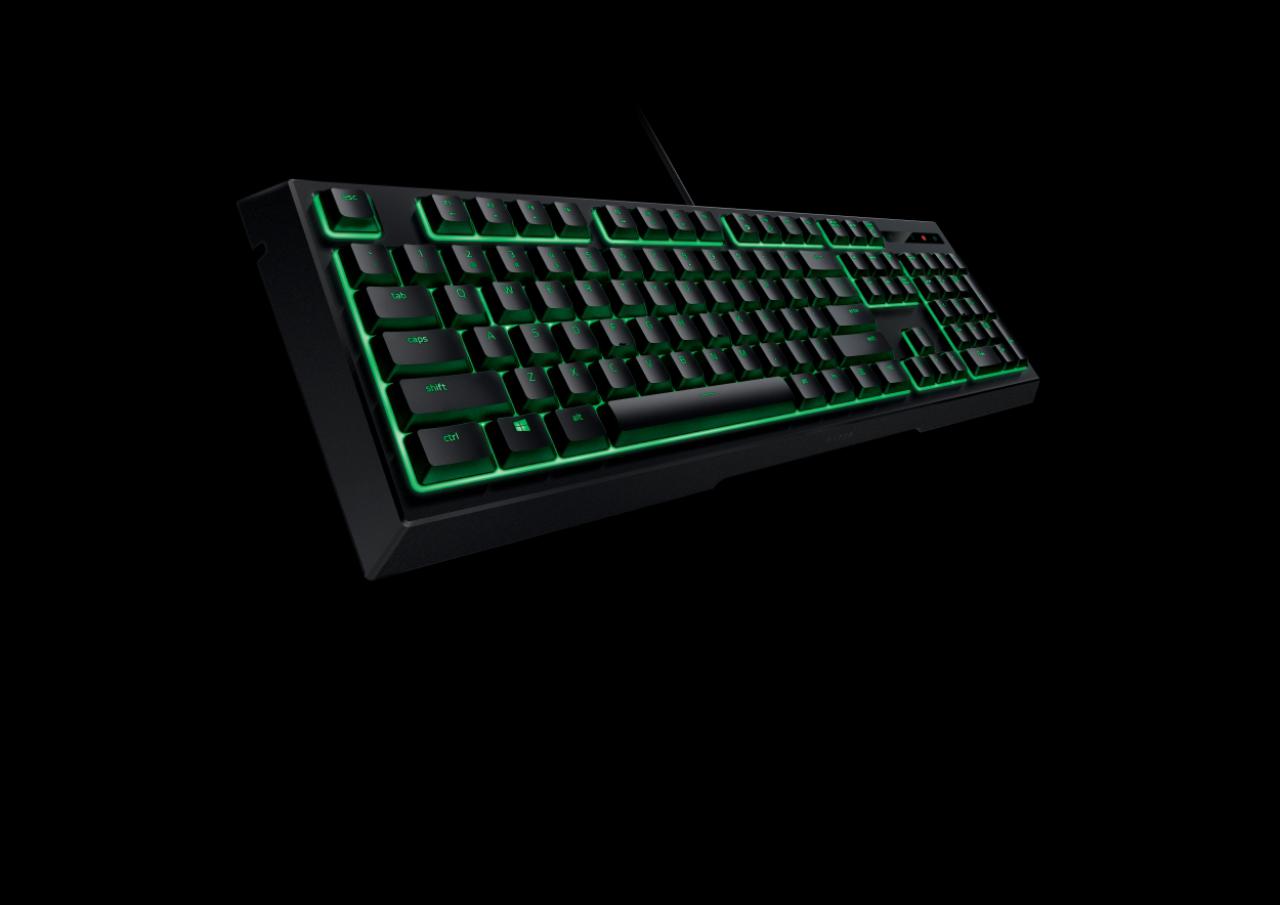 [03/09/2016] Razer Ornata (4)