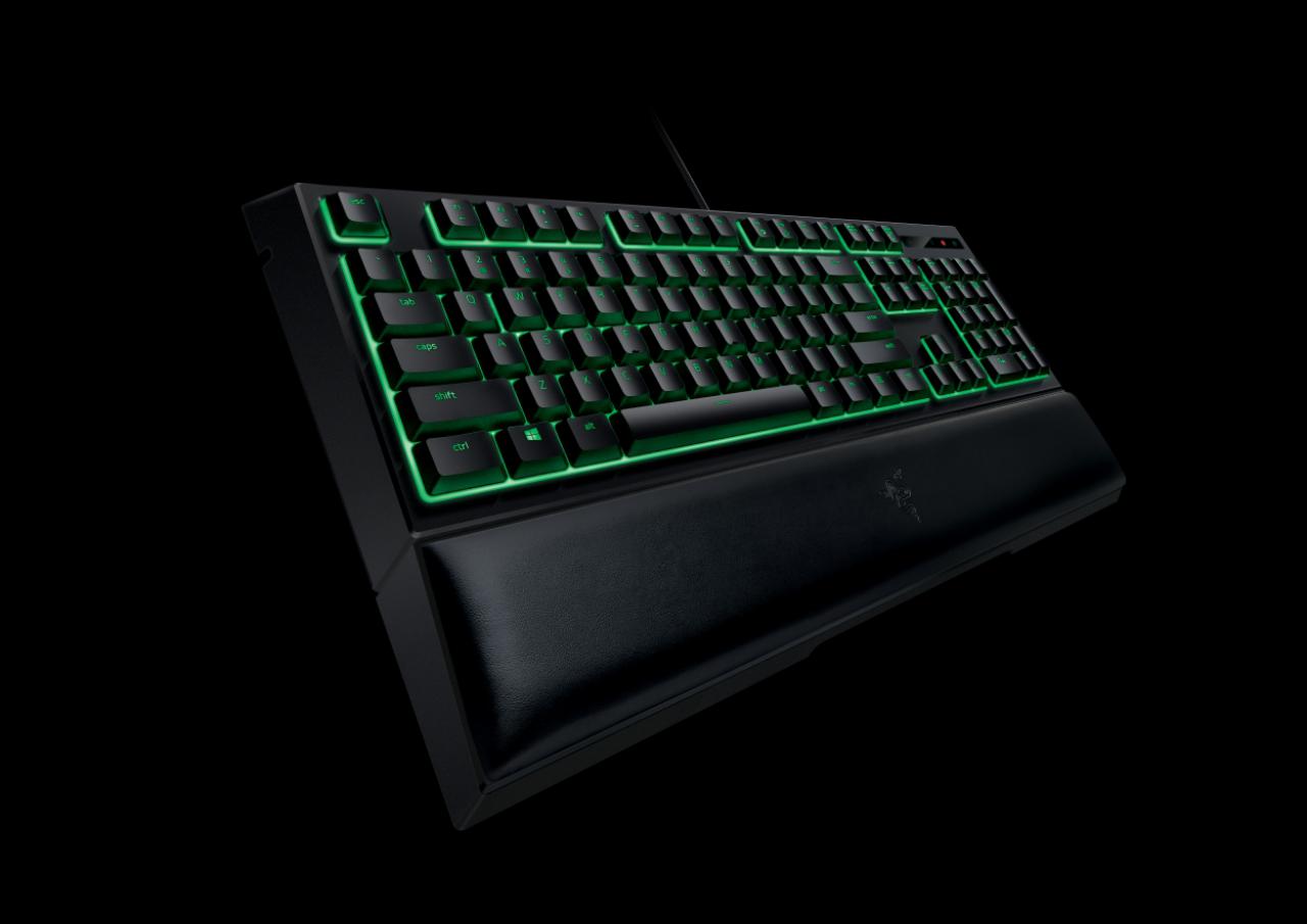 [03/09/2016] Razer Ornata (5)