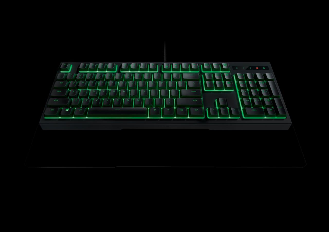 [03/09/2016] Razer Ornata (6)