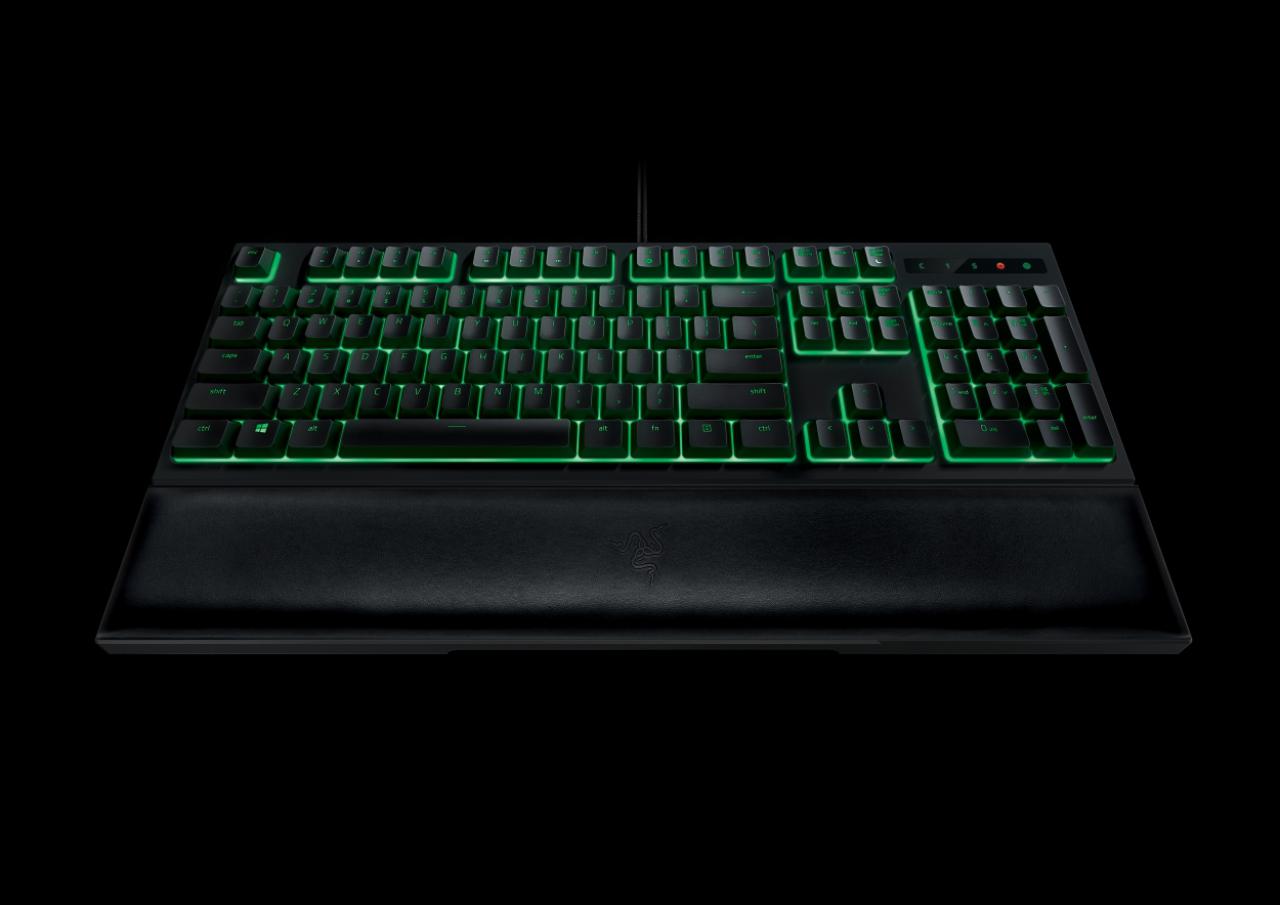 [03/09/2016] Razer Ornata (7)