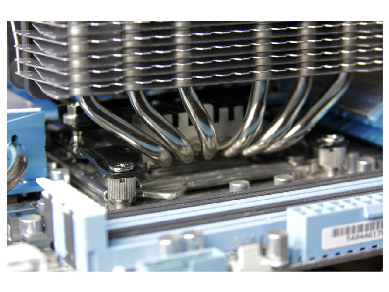 [29/09/2016] Scythe Fuma (15)