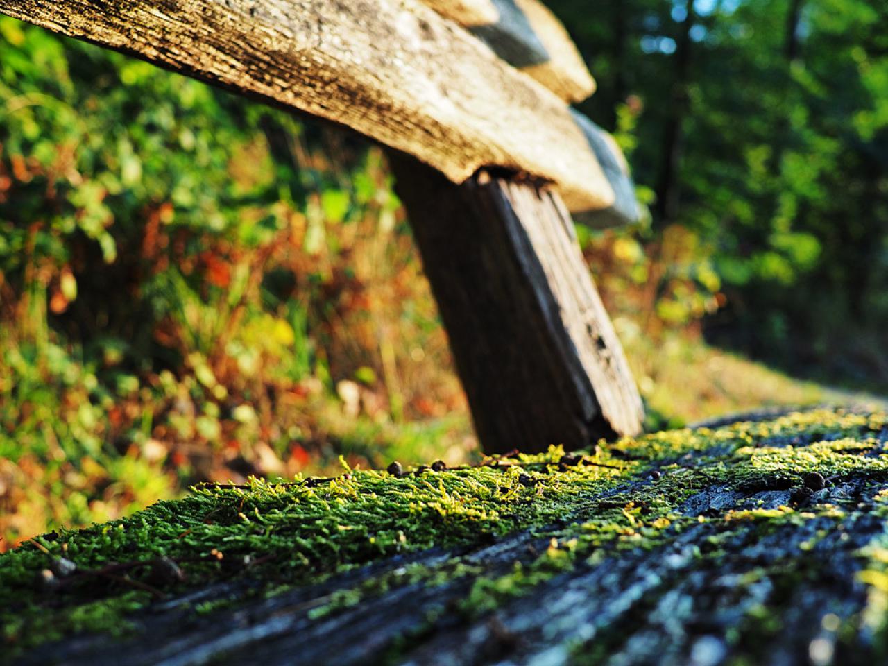 [04/10/2016] Update Oktober 2016: Foto von der_yappi
