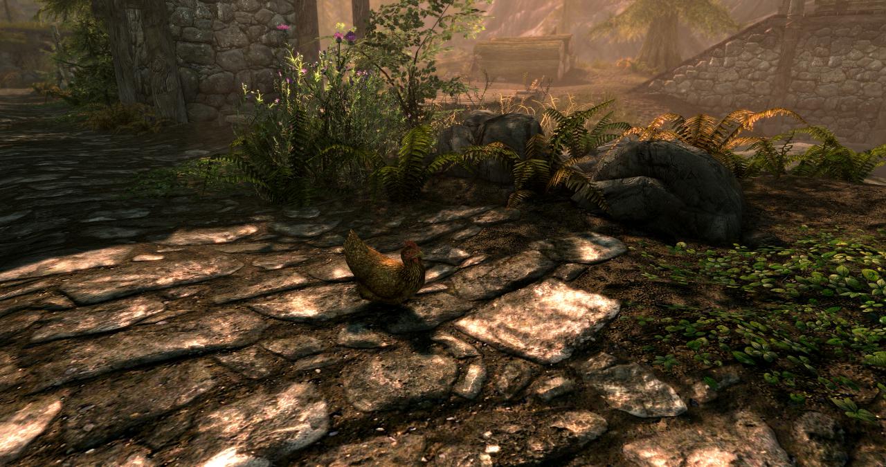 [28/10/2016] TES 5 Skyrim Special Edition im PCGH-Techniktest (Bilder: Originalauflösng 6.144 × 3.240 mittels DSR-Downsampling, resized auf 2.560 × 1.350 Pixel) (38)