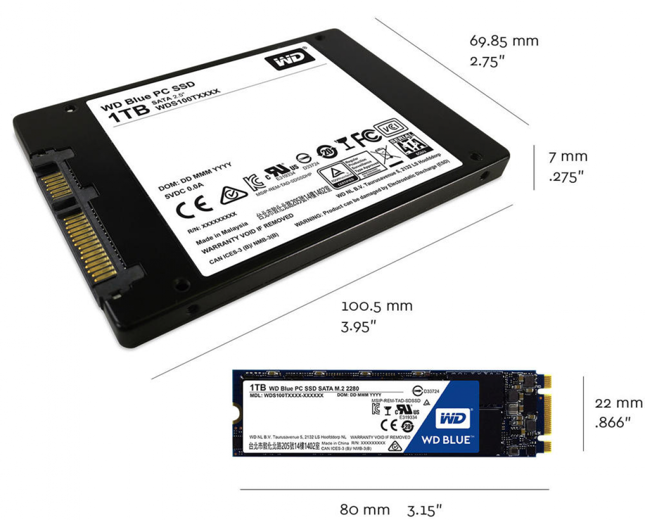 [11/10/2016] Western Digitals erste SSDs: WD Blue und WD Green (2)