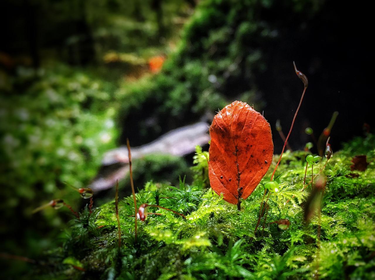 [21/11/2016] Update November 2016: Foto von mayo