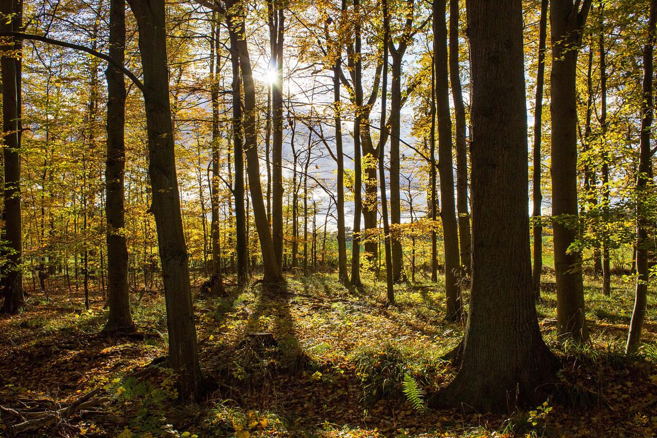 [21/11/2016] Update November 2016: Foto von Decrypter