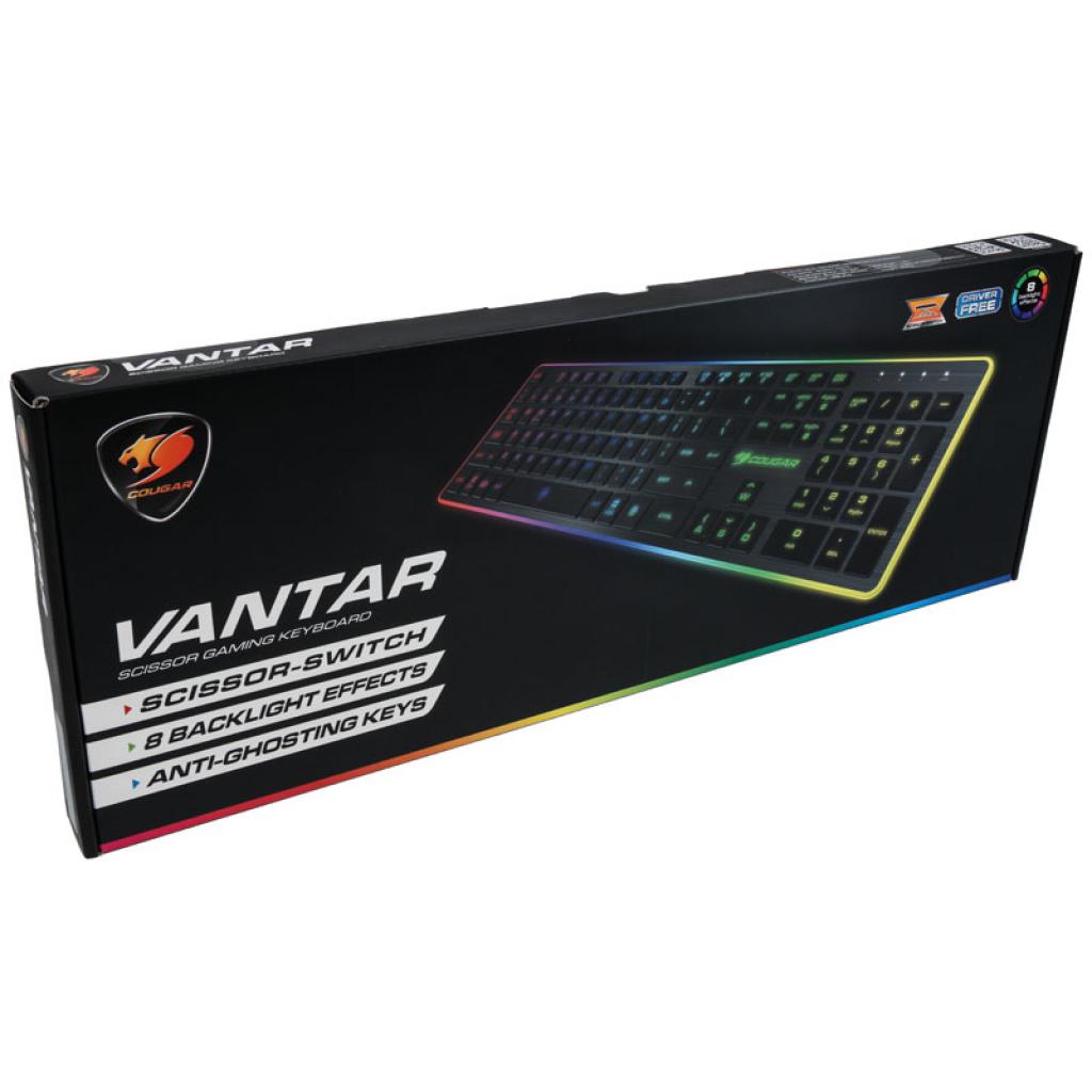 [13/01/2017] Cougar Vantar: Tastatur mit Scherenschaltern und Beleuchtungseffekten (2)