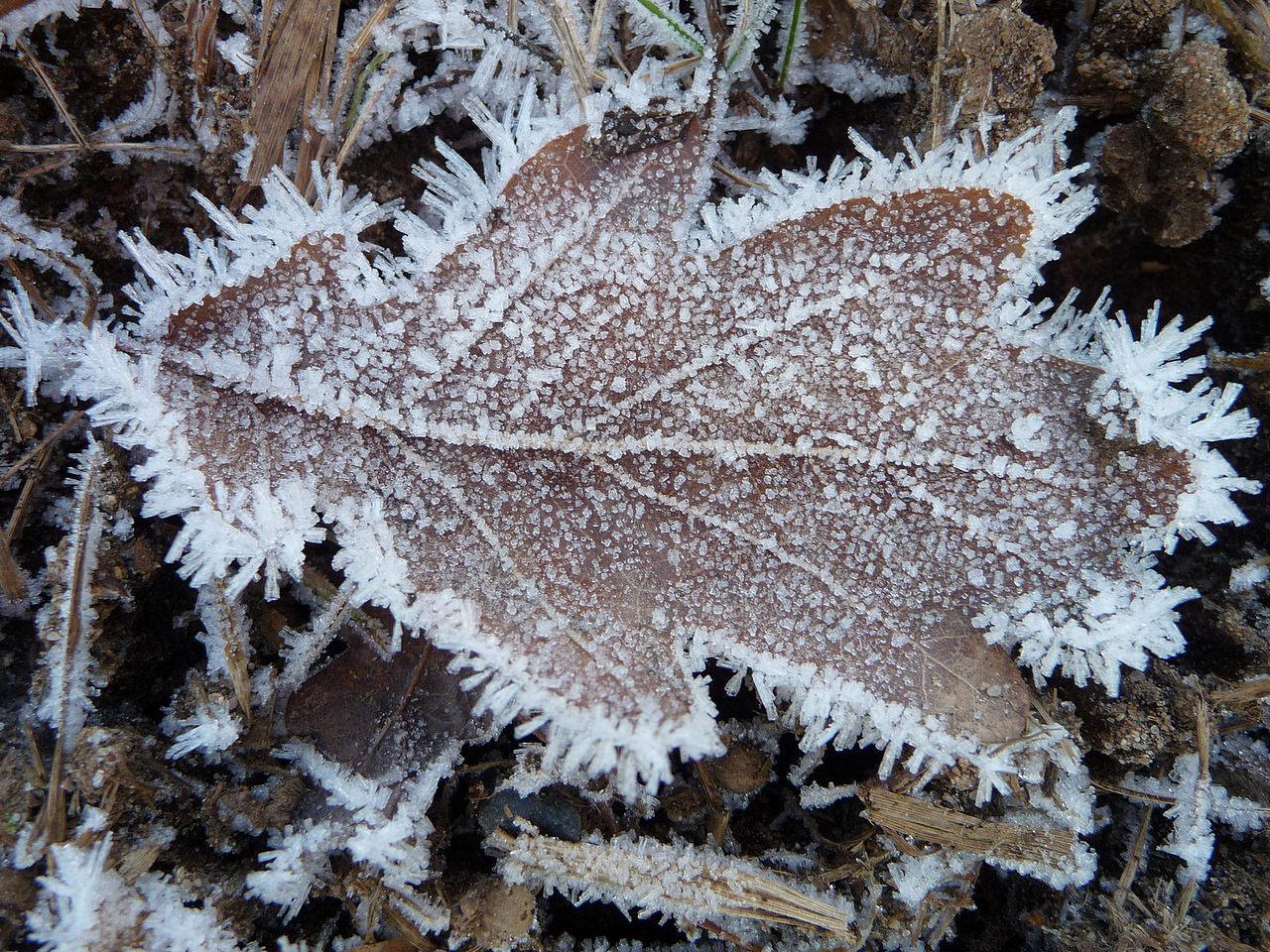 [17/01/2017] Update Januar 2017: Foto von mattinator