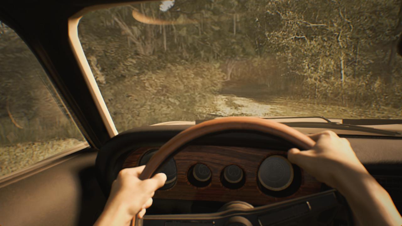 [24/01/2017] Resident Evil 7 - UHD downsampled to WQHD (2)