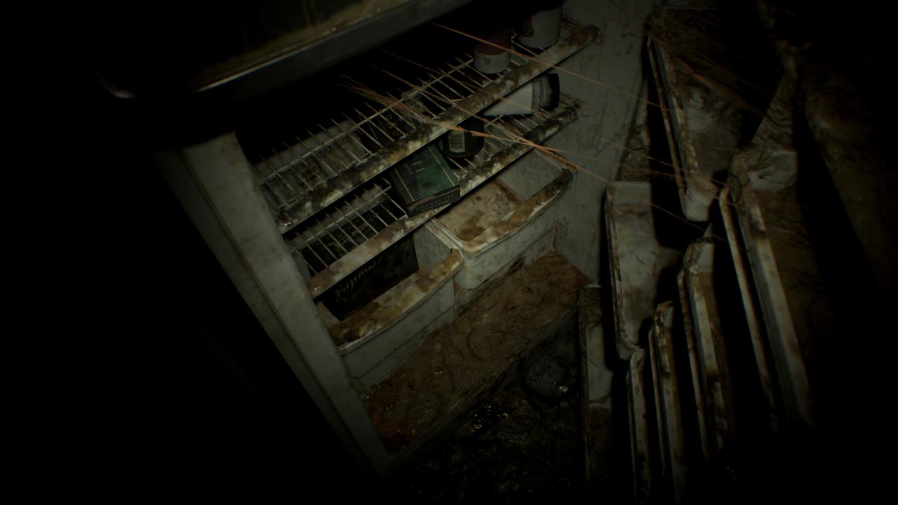 [24/01/2017] Resident Evil 7 - UHD downsampled to WQHD (11)