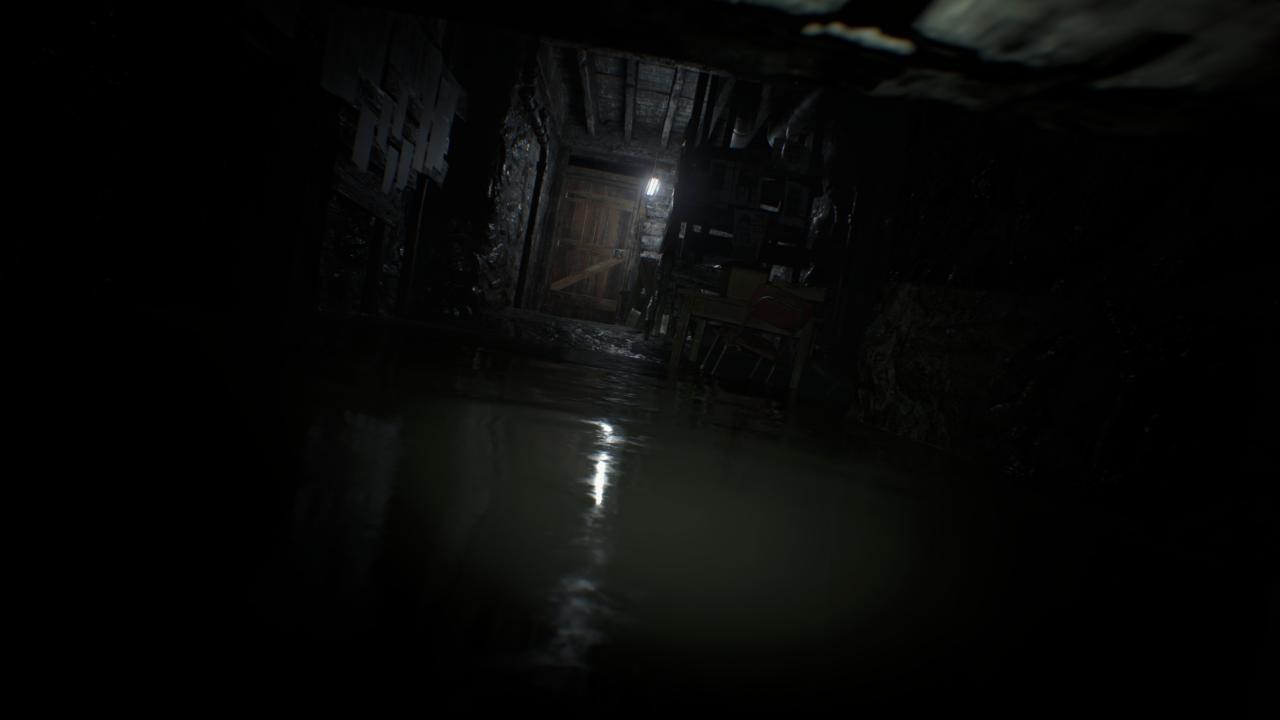 [24/01/2017] Resident Evil 7 - UHD downsampled to WQHD (16)