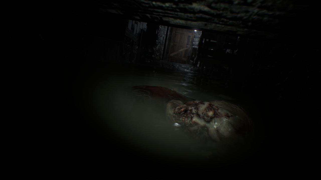 [24/01/2017] Resident Evil 7 - UHD downsampled to WQHD (17)
