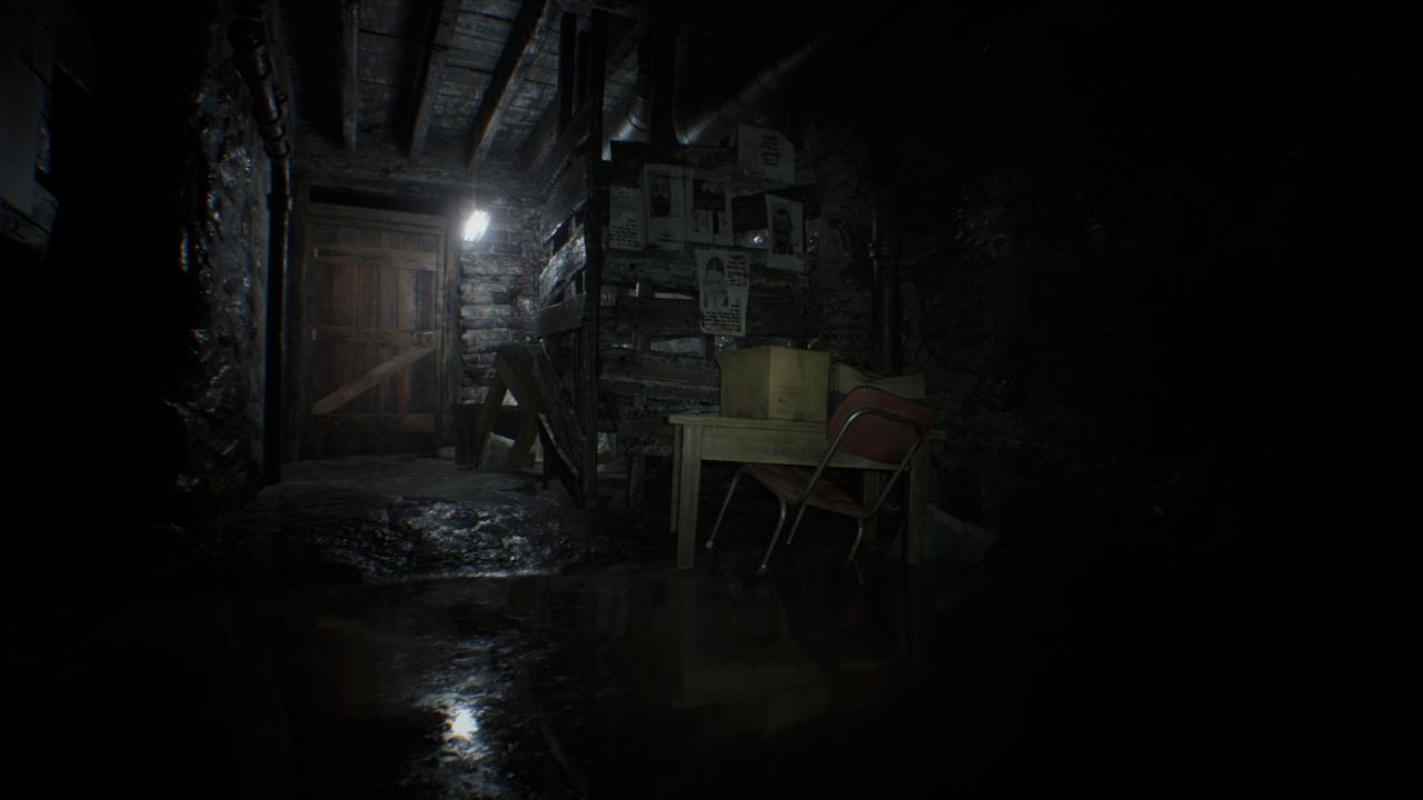 [24/01/2017] Resident Evil 7 - UHD downsampled to WQHD (18)