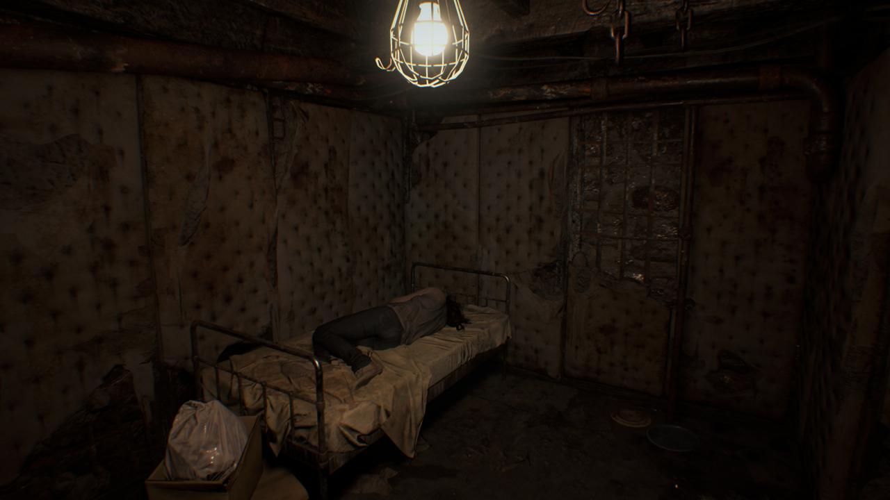 [24/01/2017] Resident Evil 7 - UHD downsampled to WQHD (21)