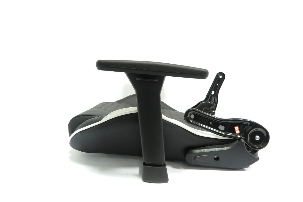Tesoro Zone Balance: Ein günstiger und bequemer Gaming-Chair-Debütant? (18)