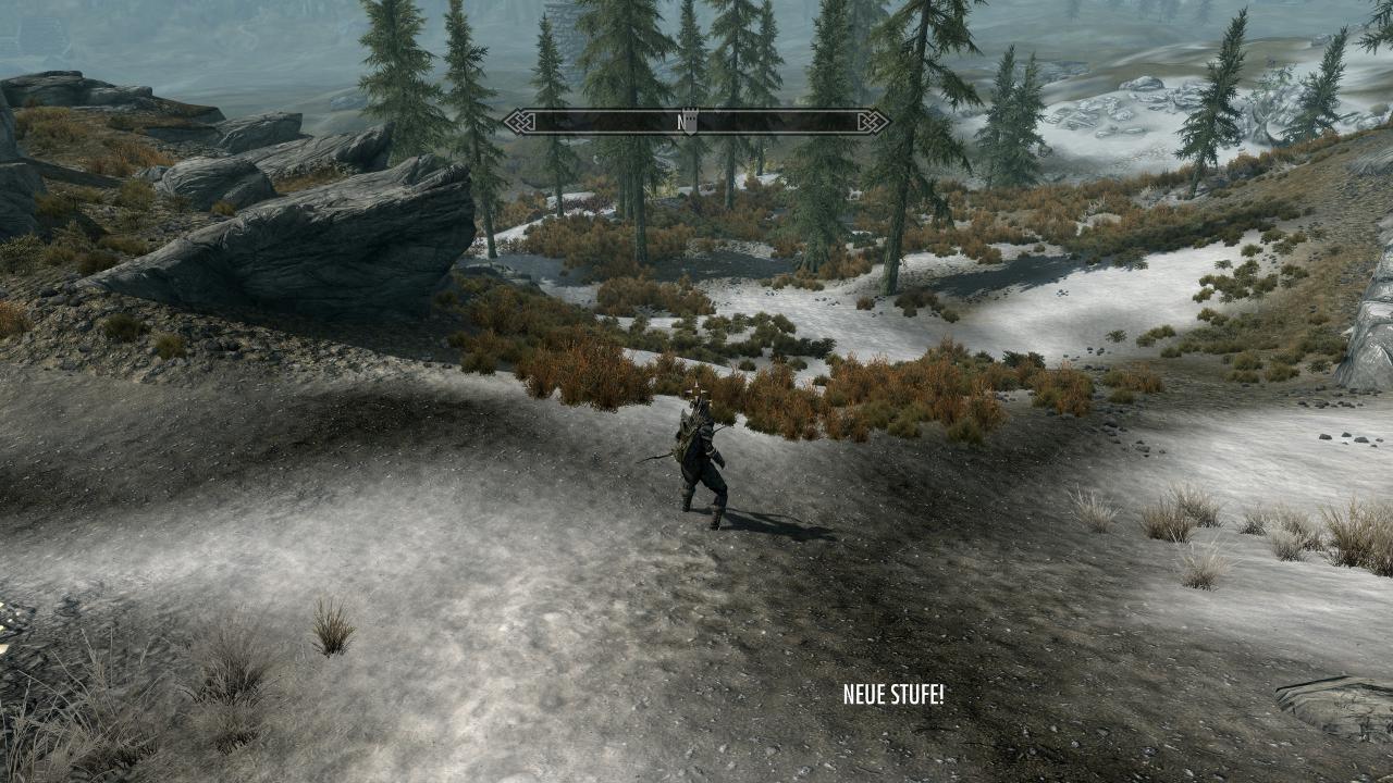[27/03/2017] TES 5 Skyrim (DX11), PCGH-Testszene 