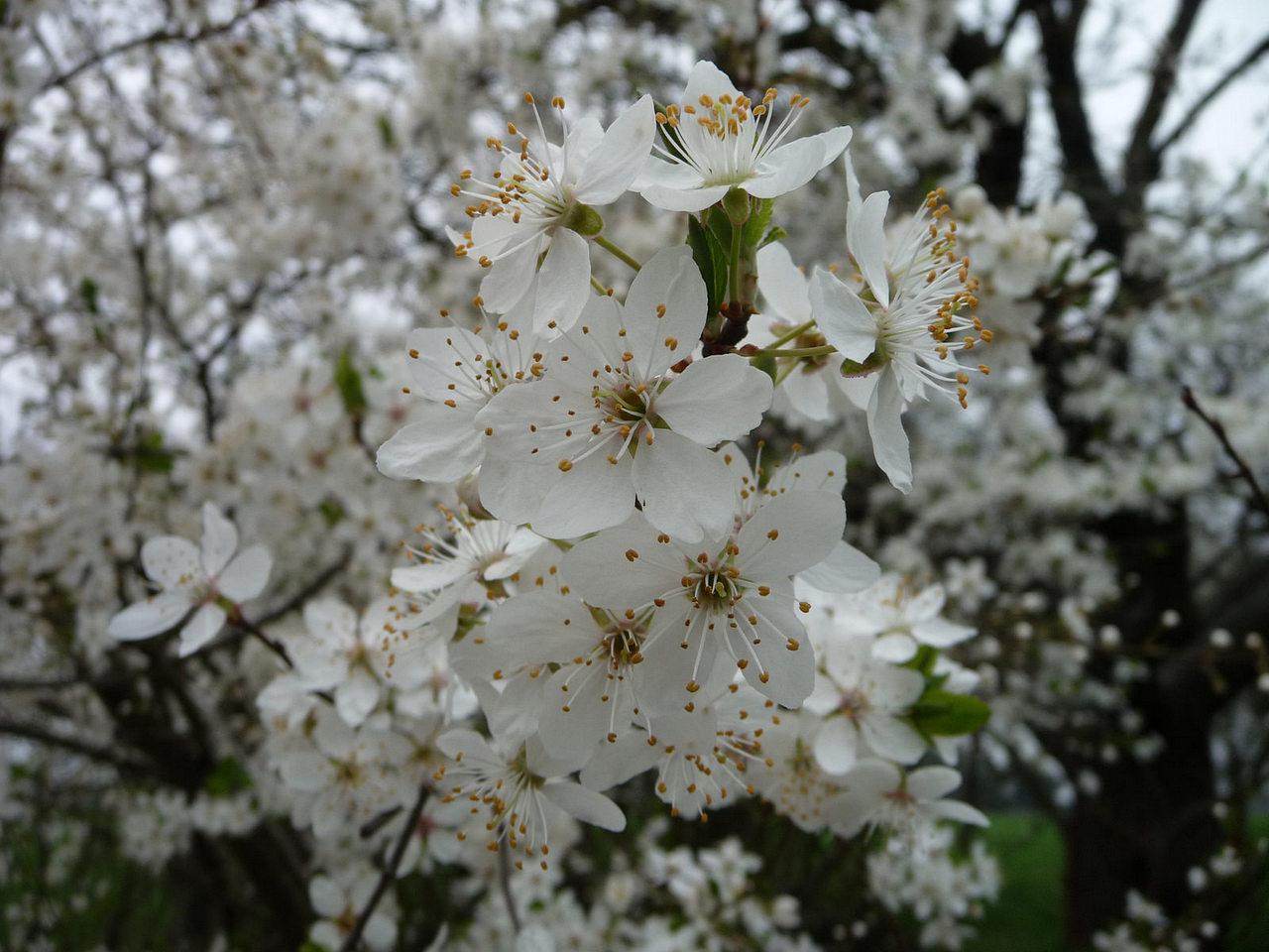 [28/04/2017] Update April 2017: Foto von mattinator