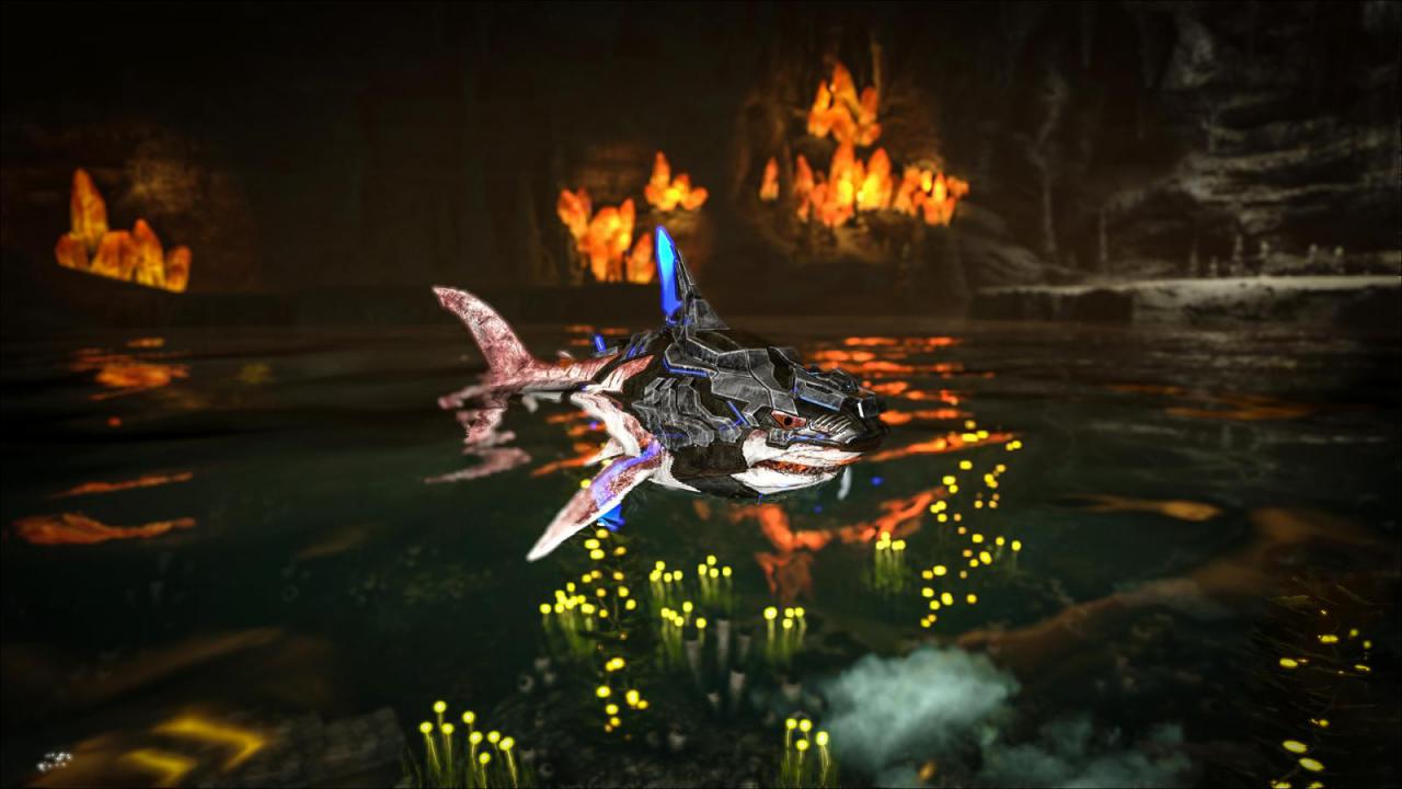 [08/05/2017] 