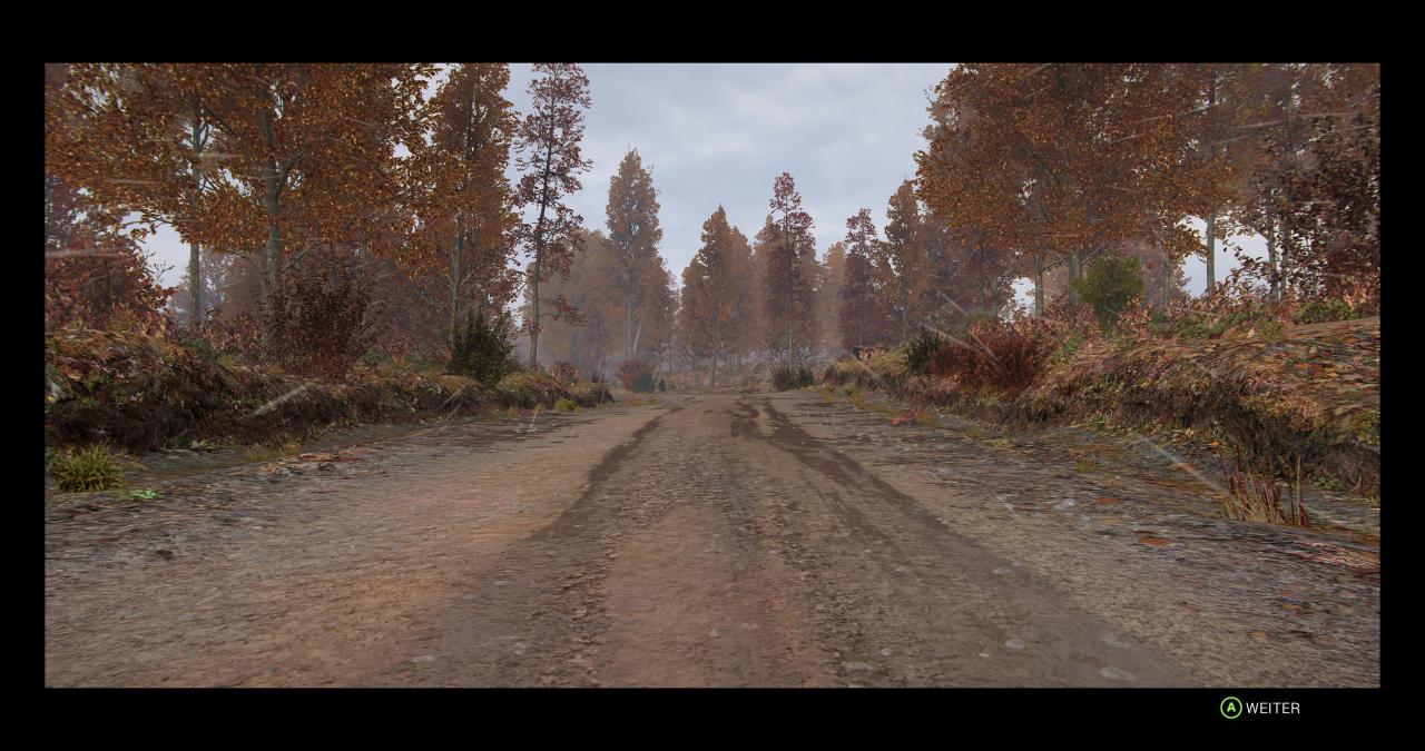 [14/06/2017] Dirt 4 im Techniktest (16)