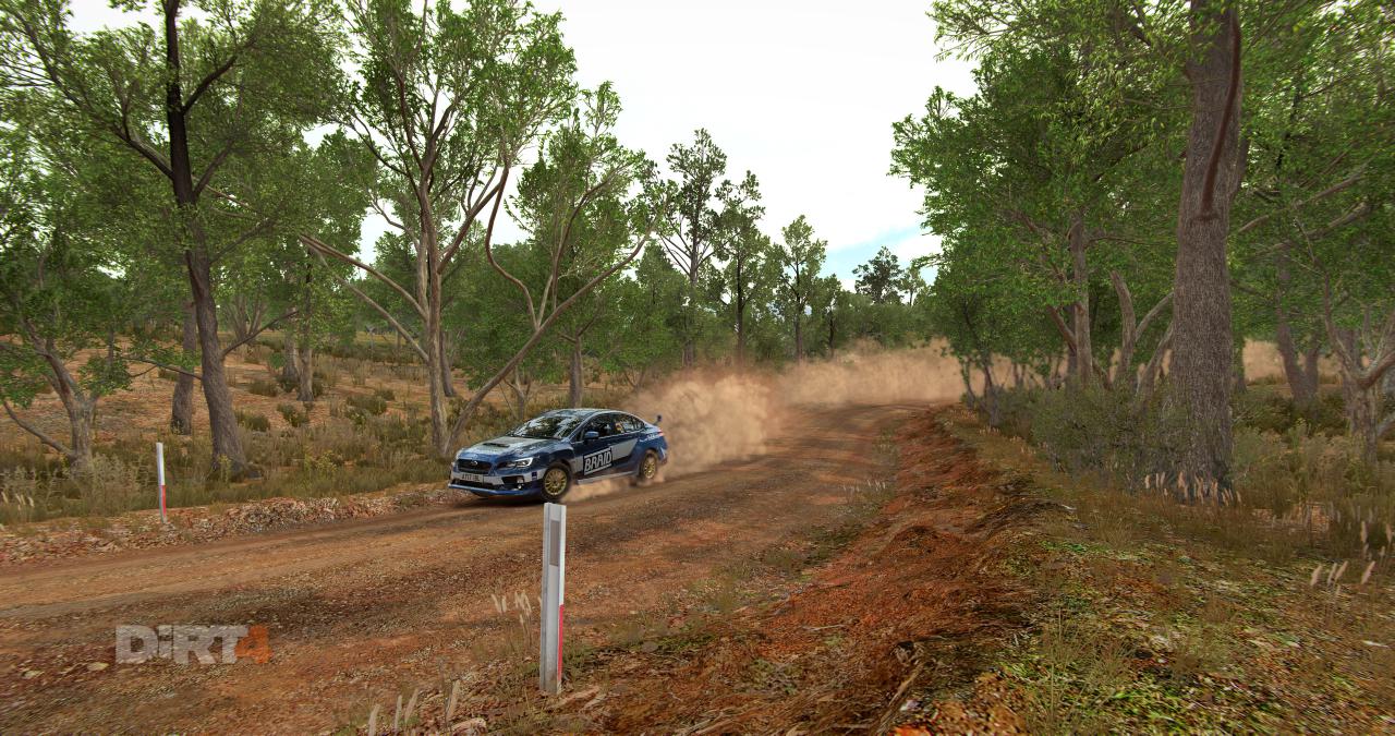 [14/06/2017] Dirt 4 im Techniktest (21)
