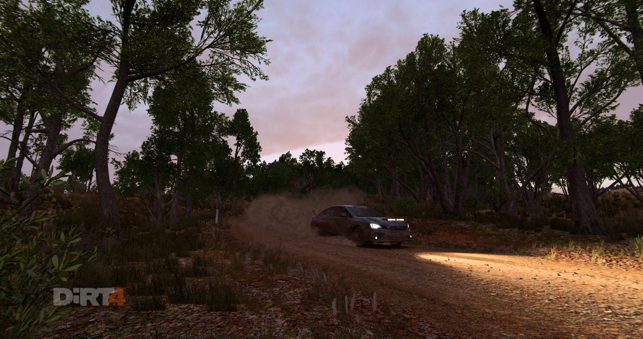 [14/06/2017] Dirt 4 im Techniktest (26)