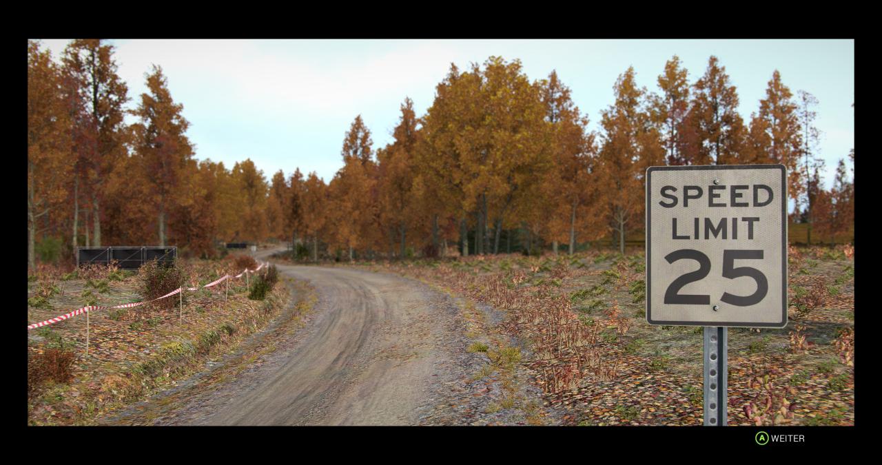 [14/06/2017] Dirt 4 im Techniktest (12)