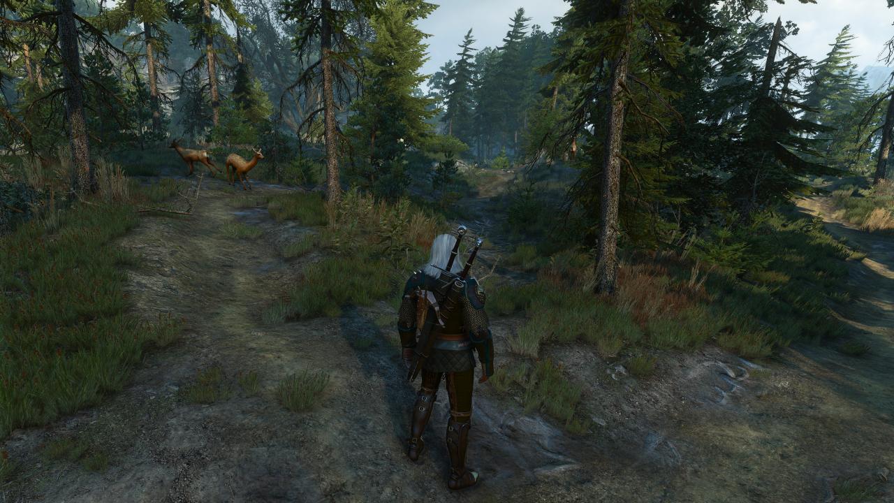 [26/07/2017] The-Witcher 3 HD-Reworked 4.6 - 01 - unmodded
