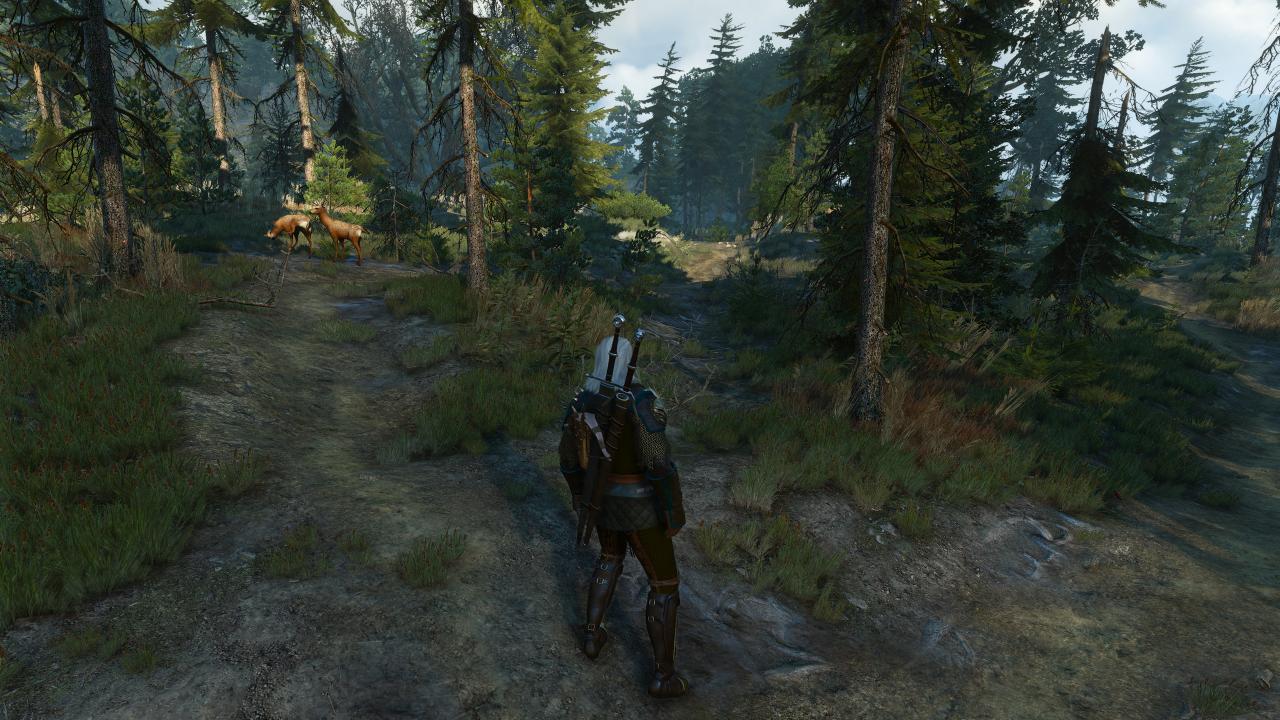 [26/07/2017] The-Witcher 3 HD-Reworked 4.6 - 01 - modded