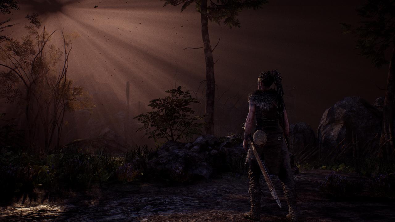 [08/08/2017] Hellblade: Senua's Sacrifice (9)